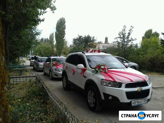 Аренда свадебных украшений для авто Городище - изображение 1