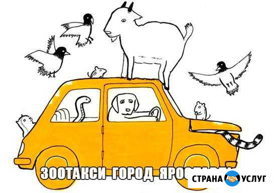 Зоотакси город Ярославль, город Рыбинск Ярославль - изображение 1