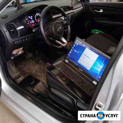 Удаление Катализатора и чип тюнинг Сочи