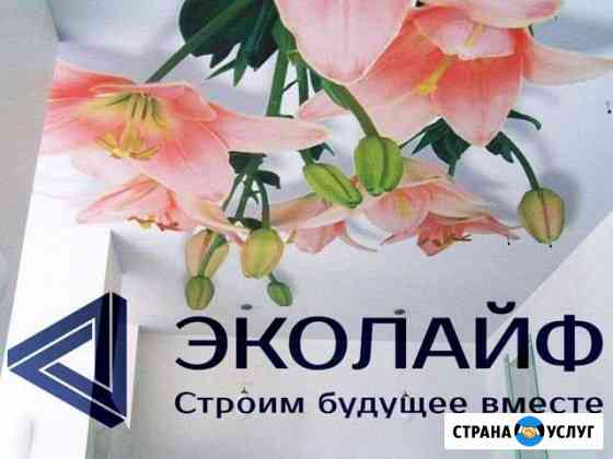 Натяжные потолки «эколайф» Новочеркасск