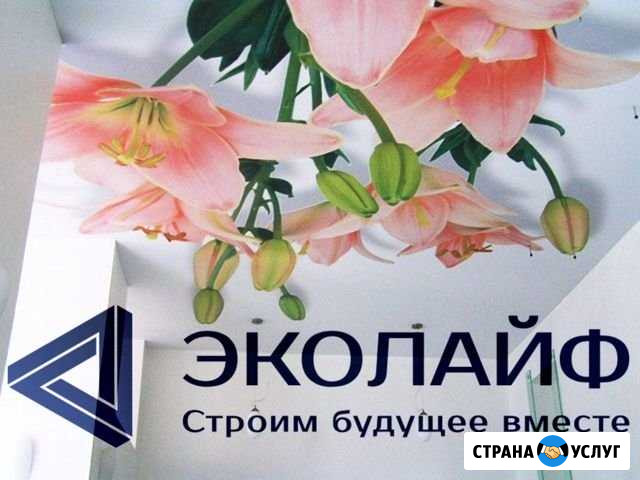 Натяжные потолки «эколайф» Новочеркасск - изображение 1