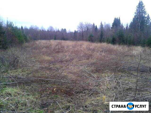Расчистка участков от кустарника и мелколесья Олонец - изображение 1