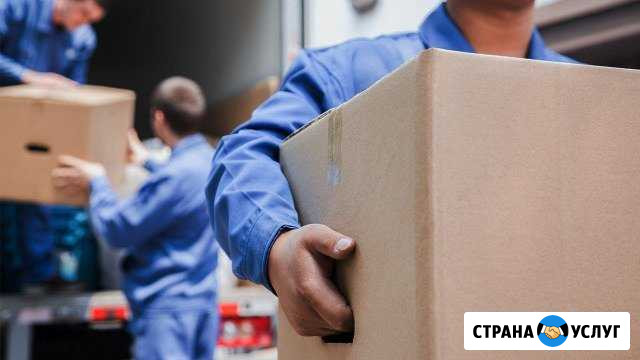 Грузчики,вывоз мусора демонтаж квартир под ключ Новомосковск - изображение 1