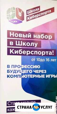 Школа киберспорта Новосибирск - изображение 1