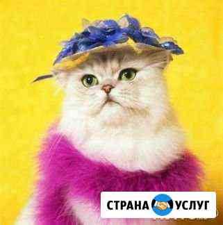 Передержка для кошек, собак, мелких грызунов и т Казань