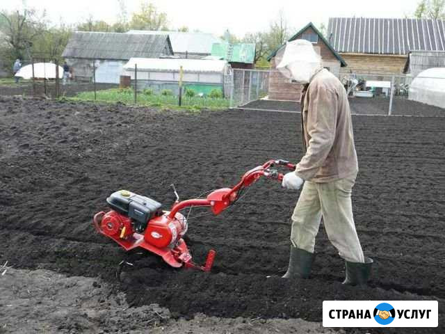 Покос,спил,уборка,копка и др Сальск - изображение 1