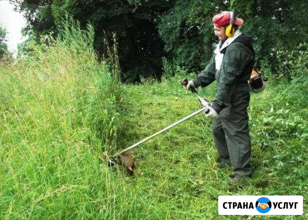 Покос, расчистка участков под ключ, нал/безнал Севастополь - изображение 1