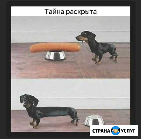 Вязка Славянск-на-Кубани - изображение 1