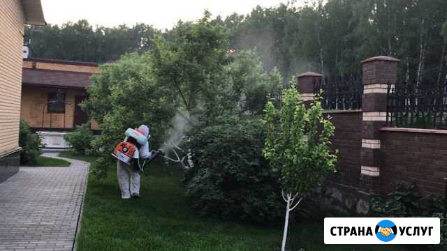 Уход за садом. Ландшафтный дизайн Одинцово - изображение 1