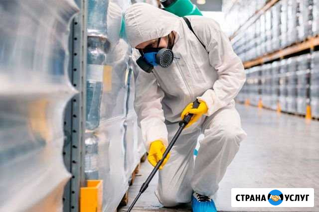 Дезинфекция от вирусов,бактерий. Квартир,авто и др Самара - изображение 1