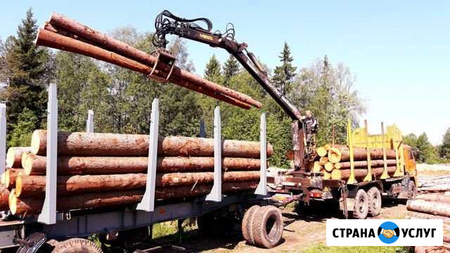 Камаз вездеход сортиментовоз (лесовоз) с фишкой Вологда - изображение 1