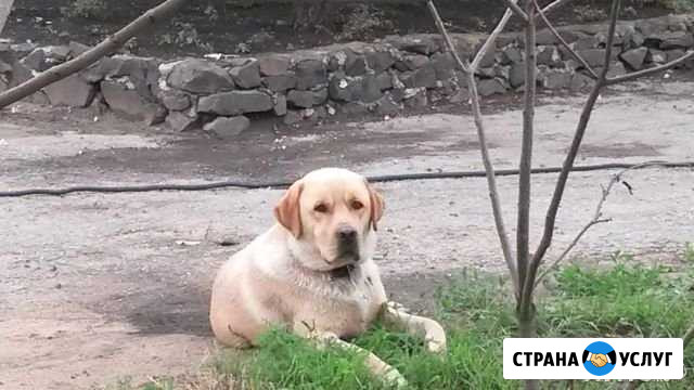 Мальчик для вязки Липецк - изображение 1