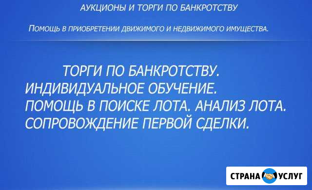 Торги по банкротству. Индивидуальное обучение Красноярск - изображение 1
