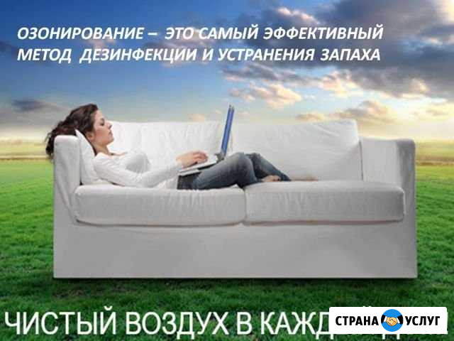 Дезинфекция квартир, авто, погребов (озонирование) Александров - изображение 1