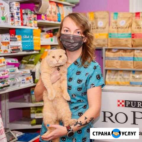 Кастрация/стерилизация животных Краснодар - изображение 1