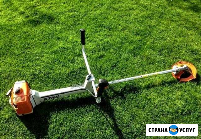 Покос травы Балашов - изображение 1