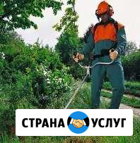 Скос травы Северская - изображение 1