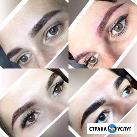 Брови Магадан - изображение 1