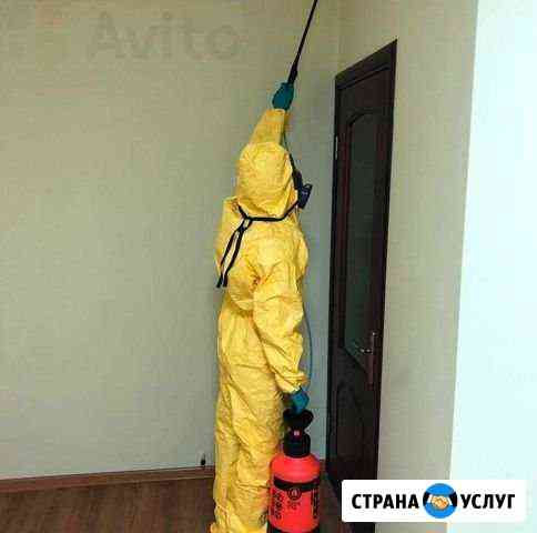 Уничтожение тараканов и клопов Самара