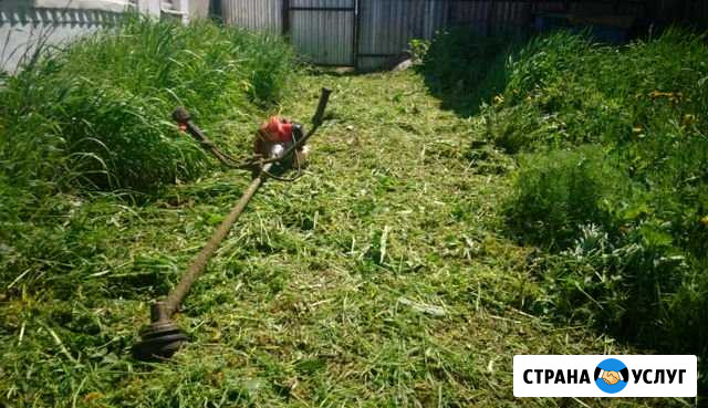 Покос травы Липецк - изображение 1