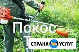 Покос травы Михайловск - изображение 1