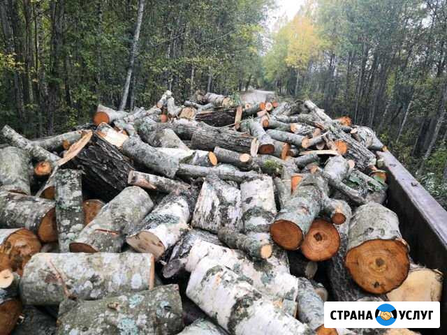 Дрова, песок, щебень, земля, Навоз Кингисепп - изображение 1