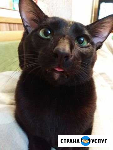 Вязка Санкт-Петербург - изображение 1