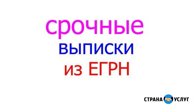 Выписки из егрн Чебоксары - изображение 1