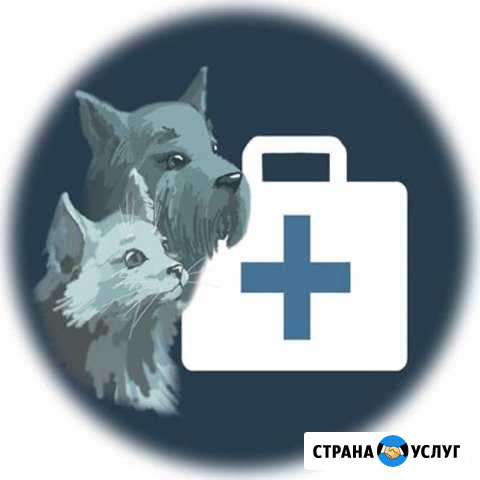 Семейный ветеринарный врач Кемерово - изображение 1