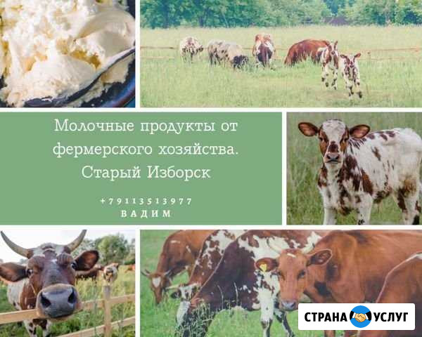 Молочные продукты Псков - изображение 1