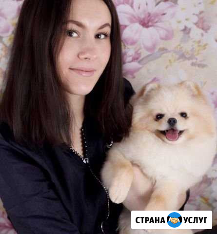 Стрижка собак (Кудрово,Новый Оккервиль,Дыбенко) Кудрово - изображение 1
