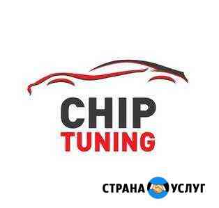 Чип тюнинг,сто,удаление катализаторов Саратов