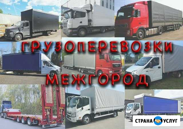 Грузоперевозки Мытищи - изображение 1
