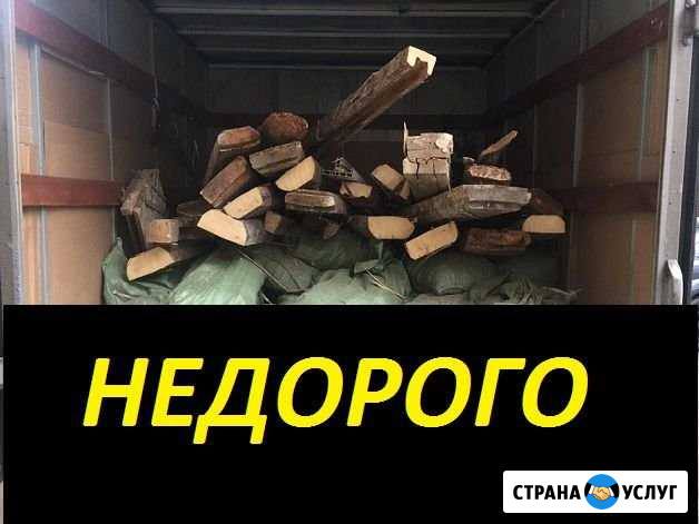 Вывоз мусора Кировск - изображение 1