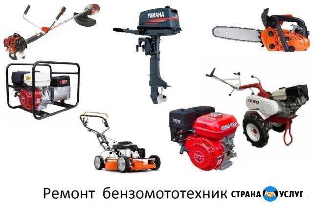 Ремонт бензопил, лодочных моторов и др. мототехник Батайск - изображение 1
