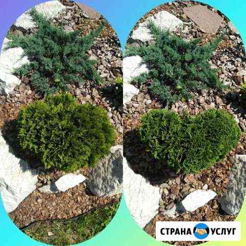 Садавник,стрижка,обрезка, лечение деревьев и куста Уфа