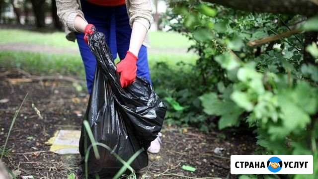 Уборка Топки - изображение 1