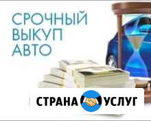 Помощь в продаже автомобиля, мото. Выкуп любой тех Гусь-Хрустальный - изображение 1