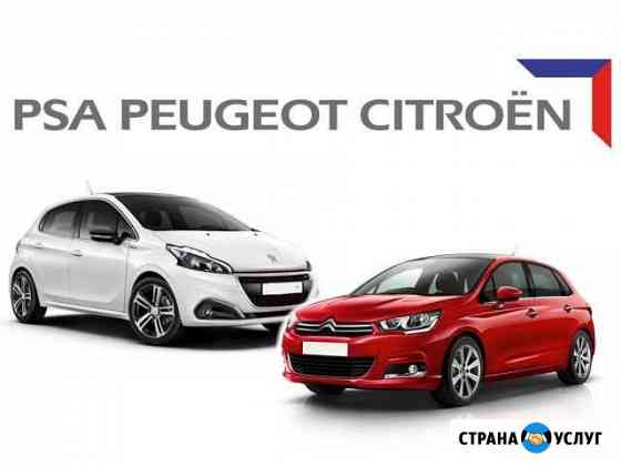 Диагностика и ремонт Peugeot, Citroen, Fiat Москва