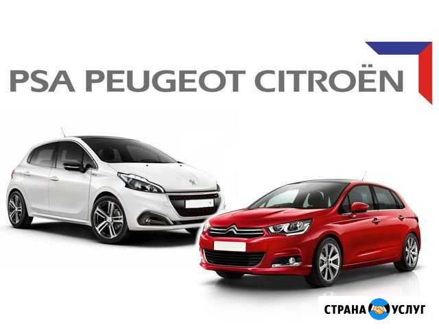 Диагностика и ремонт Peugeot, Citroen, Fiat Москва - изображение 1
