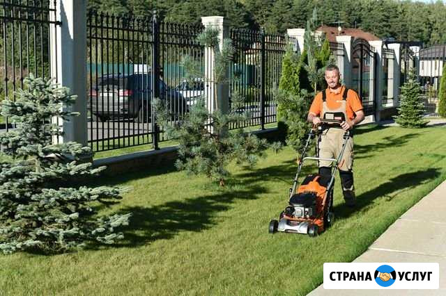Стрижка газона уход за газоном покос травы Всеволожск - изображение 1