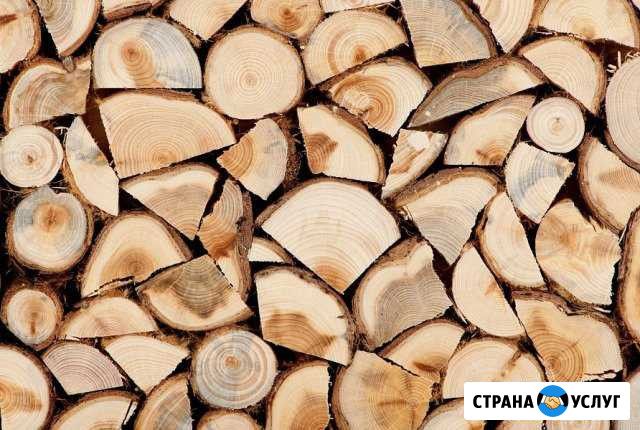 Дрова с доставкой Сосновый Бор - изображение 1