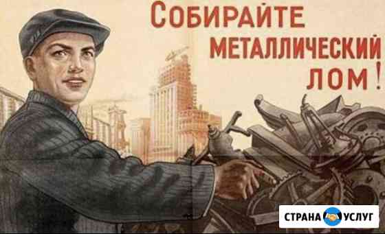 Металлолом (электронные весы) Новоаннинский