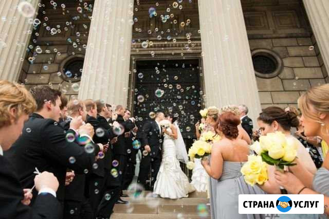 Ведущая тамада+ DJ+ оборудование Мытищи - изображение 1