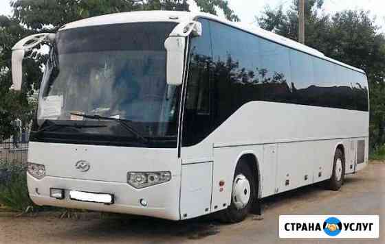 Аренда автобуса микроавтобуса от 6-75 мест Санкт-Петербург