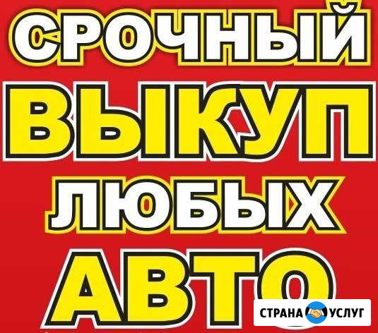 Срочный выкуп авто и мото Касимов - изображение 1