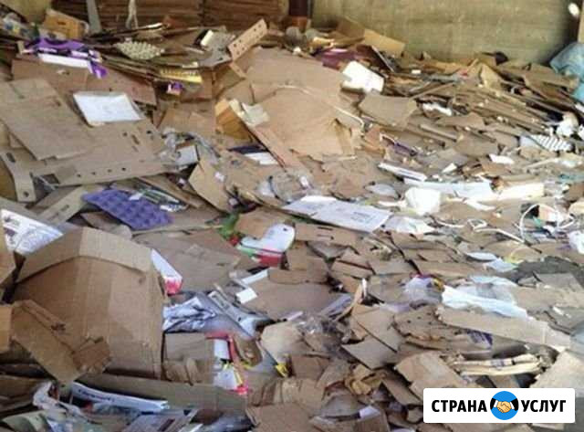 Приём макулатуры Санкт-Петербург - изображение 1