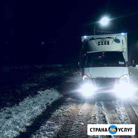 Грузоперевозки от 1 кг рефрижератор по рт и РФ Казань