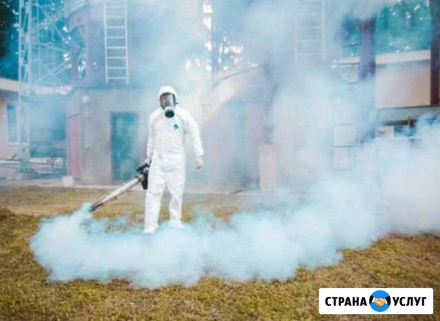 Дезинфекция Волгодонск - изображение 1