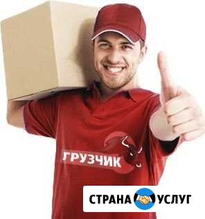 Грузчики, квартирные/офисные переезды 24/7 Владимир - изображение 1